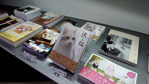 20180609_105542597.jpg