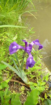 DSC_2508.jpg