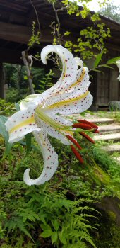 DSC_2511.jpg
