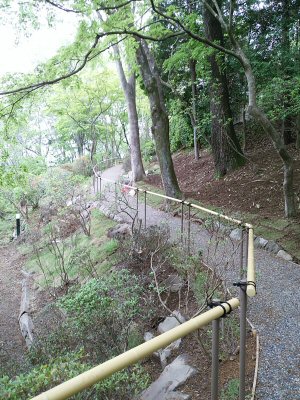 DSC_2996%201.jpg
