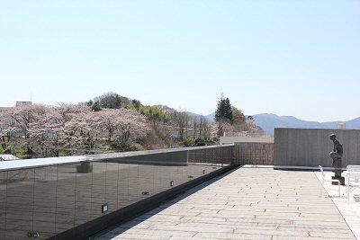IMG_0241.JPG