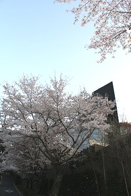 IMG_0360.JPG