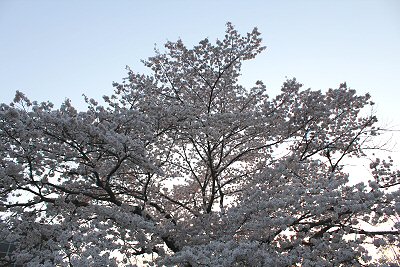 IMG_0366.JPG