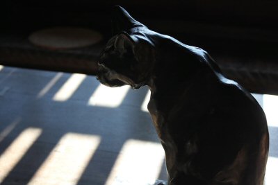 IMG_3620.JPG
