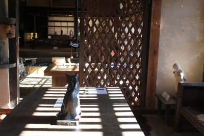 IMG_3628.JPG