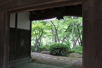 IMG_4115.JPG