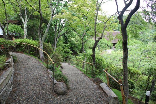 IMG_6618.JPG