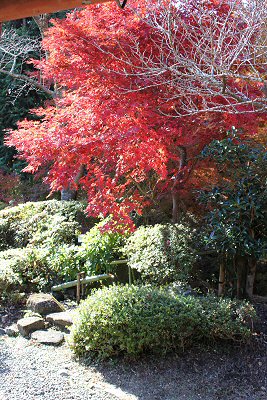 IMG_8195.JPG
