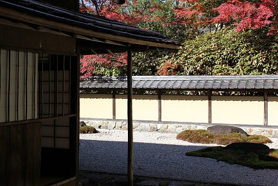IMG_8217.JPG