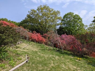 PXL_20220423_052426767.jpg