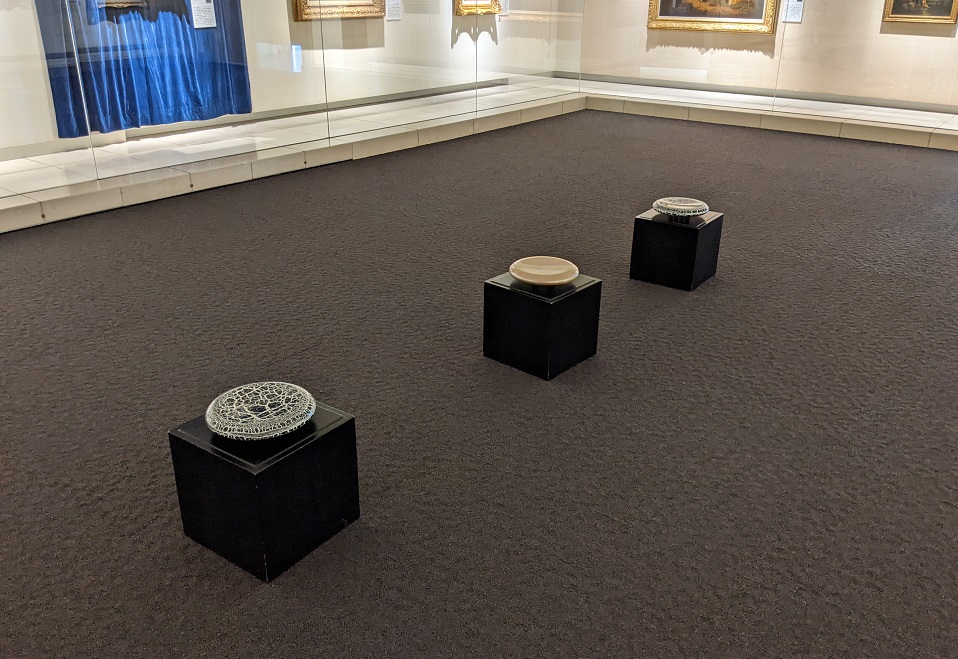 PXL_20221029_003146622_.jpg