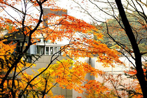 autumn2006_003.jpg