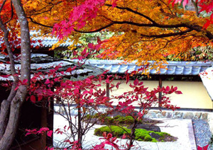 autumn2006_sb0001.jpg
