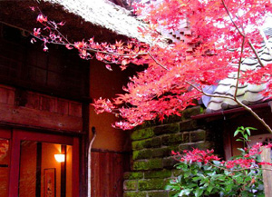 autumn2006_sb0003.jpg