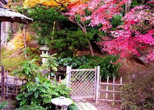 autumn2006_sb0005.jpg