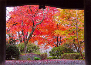 autumn2006_sb0006.jpg