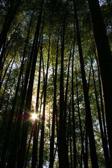 笠間日動美術館