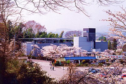 kasama_sakura02.jpg