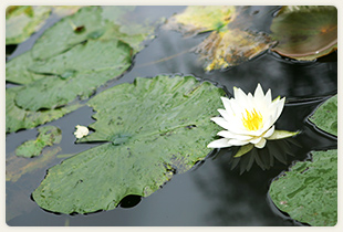 春風萬里荘